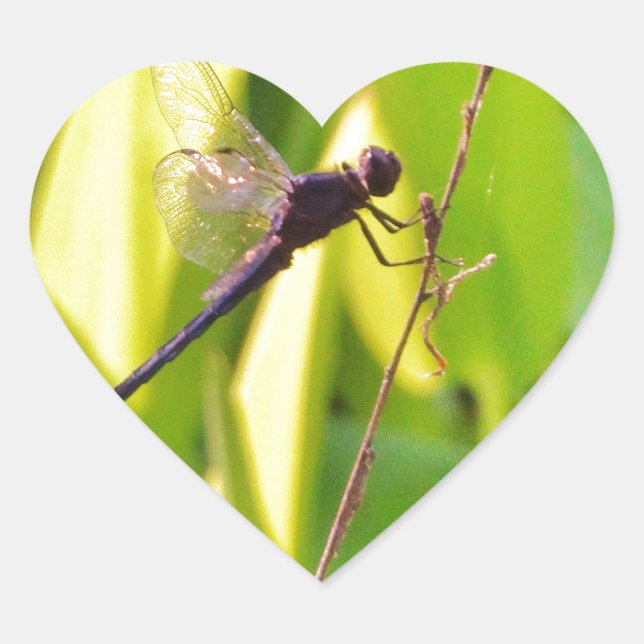 Dragonfly Blue and black on grass. Heart Sticker (Front)