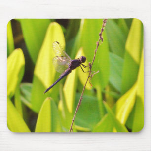 Dragonfly Blue and black on grass. Mouse Mat