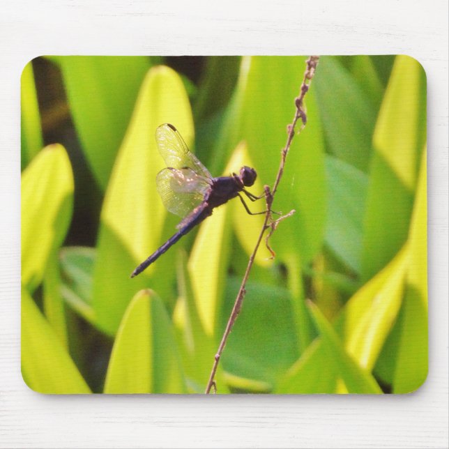 Dragonfly Blue and black on grass. Mouse Mat (Front)