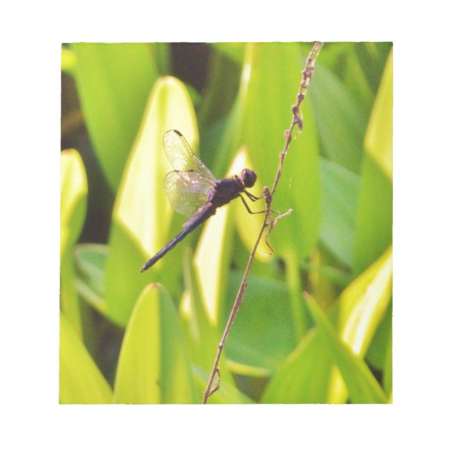 Dragonfly Blue and black on grass. Notepad (Front)