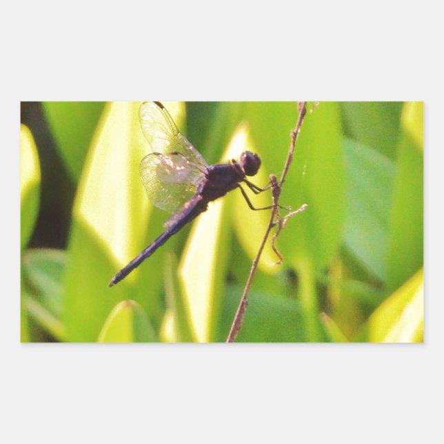 Dragonfly Blue and black on grass. Rectangular Sticker (Front)