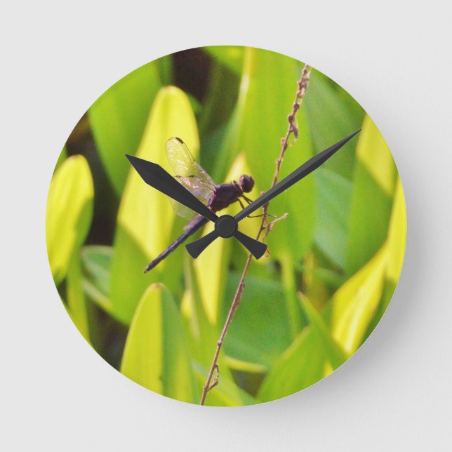 Dragonfly Blue and black on grass. Round Clock (Front)
