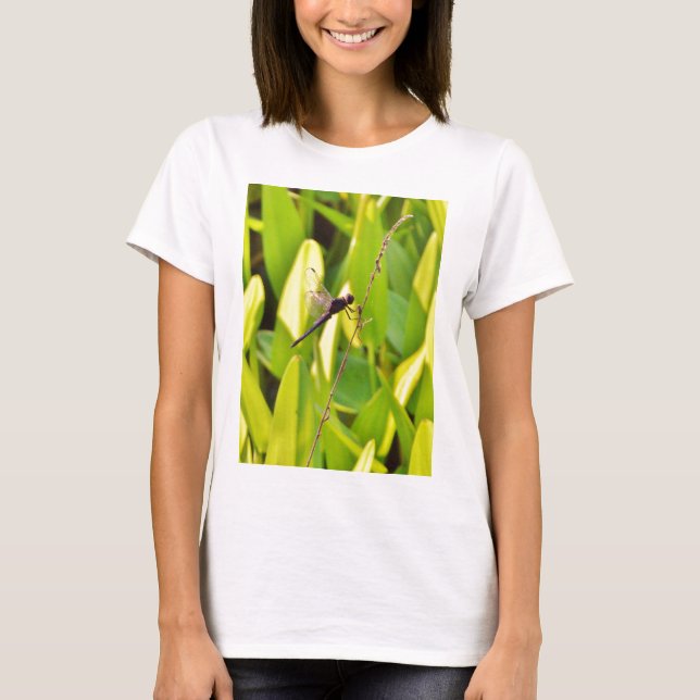 Dragonfly Blue and black on grass. T-Shirt (Front)