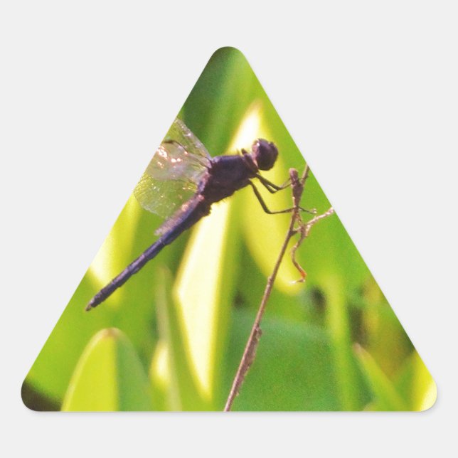 Dragonfly Blue and black on grass. Triangle Sticker (Front)