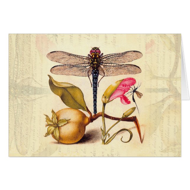 Dragonfly Botanical Nature Wildlife (Front Horizontal)