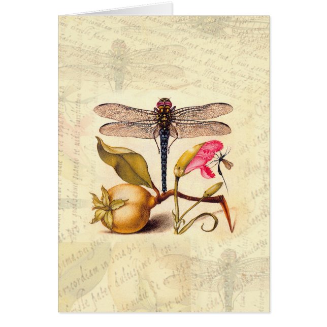 Dragonfly Botanical Nature Wildlife (Front)