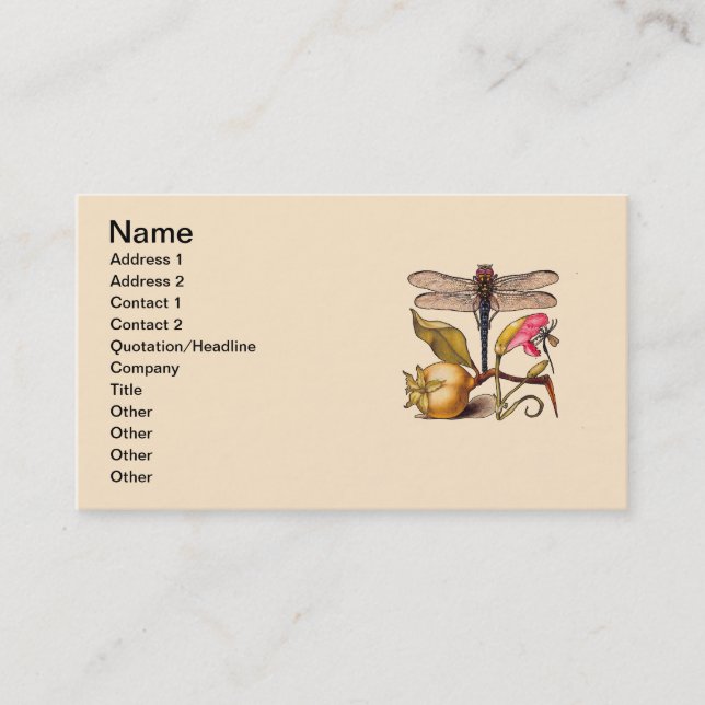 Dragonfly Botanical Nature Wildlife Business Card (Front)