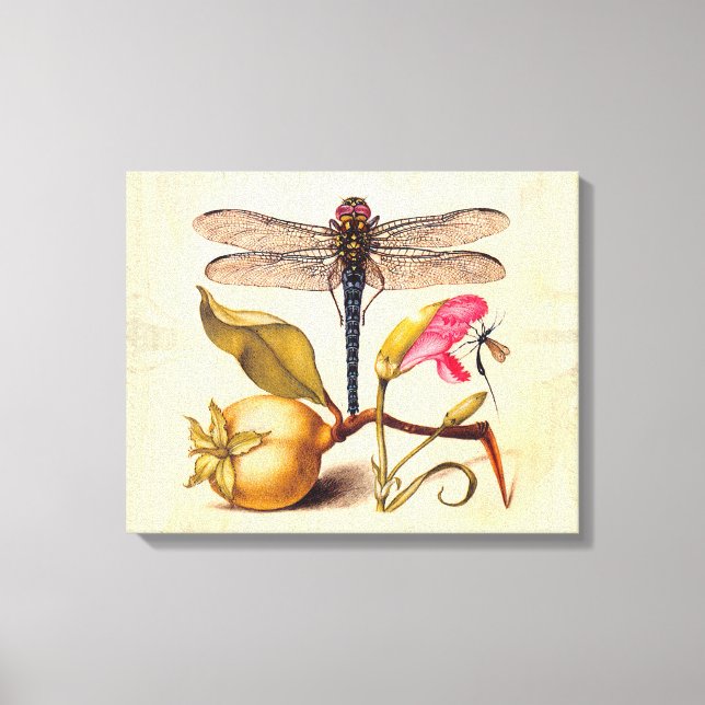 Dragonfly Botanical Nature Wildlife Canvas Print (Front)