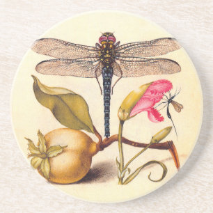 Dragonfly Botanical Nature Wildlife Coaster