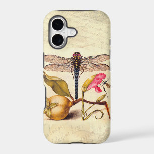 Dragonfly Botanical Nature Wildlife Hoefnagel Art