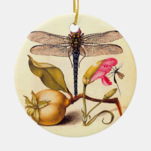 Dragonfly Botanical Nature Wildlife Hoefnagel Art Ceramic Tree Decoration