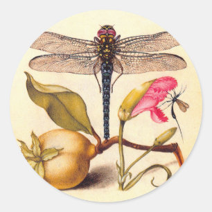 Dragonfly Botanical Nature Wildlife Hoefnagel Art Classic Round Sticker