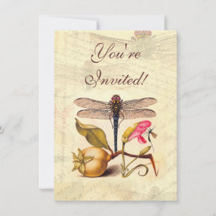 Dragonfly Botanical Nature Wildlife Hoefnagel Art Invitation