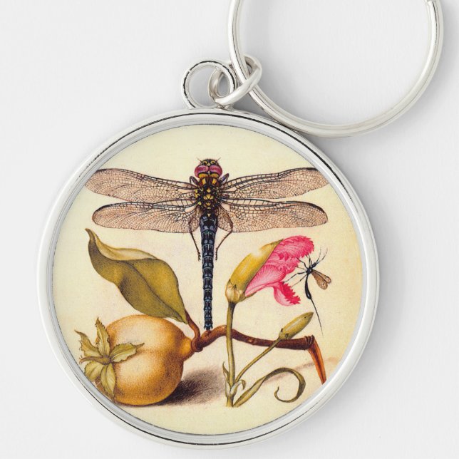 Dragonfly Botanical Nature Wildlife Hoefnagel Art Key Ring (Front)