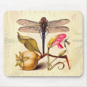 Dragonfly Botanical Nature Wildlife Hoefnagel Art Mouse Mat