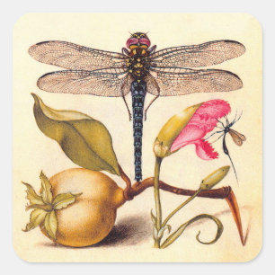 Dragonfly Botanical Nature Wildlife Hoefnagel Art Square Sticker