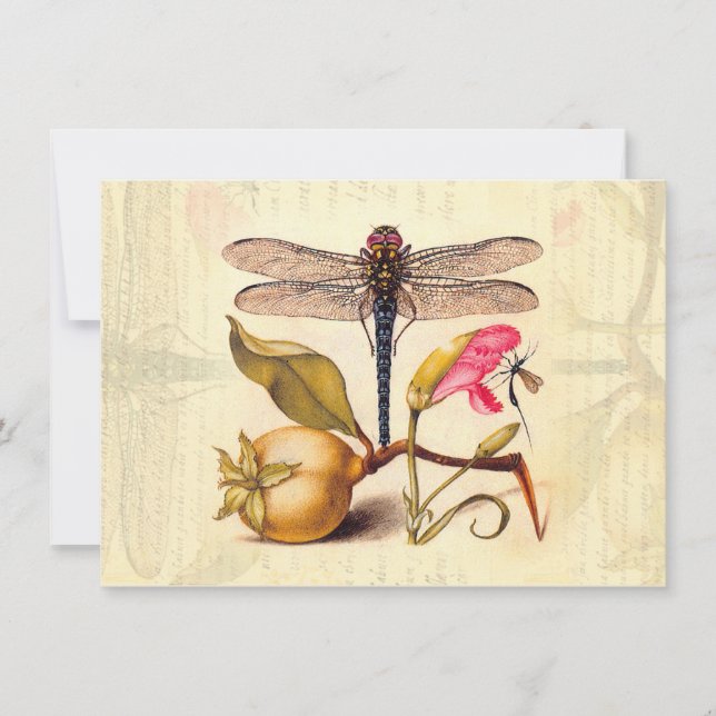 Dragonfly Botanical Nature Wildlife Invitation (Front)