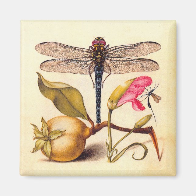 Dragonfly Botanical Nature Wildlife Magnet (Front)