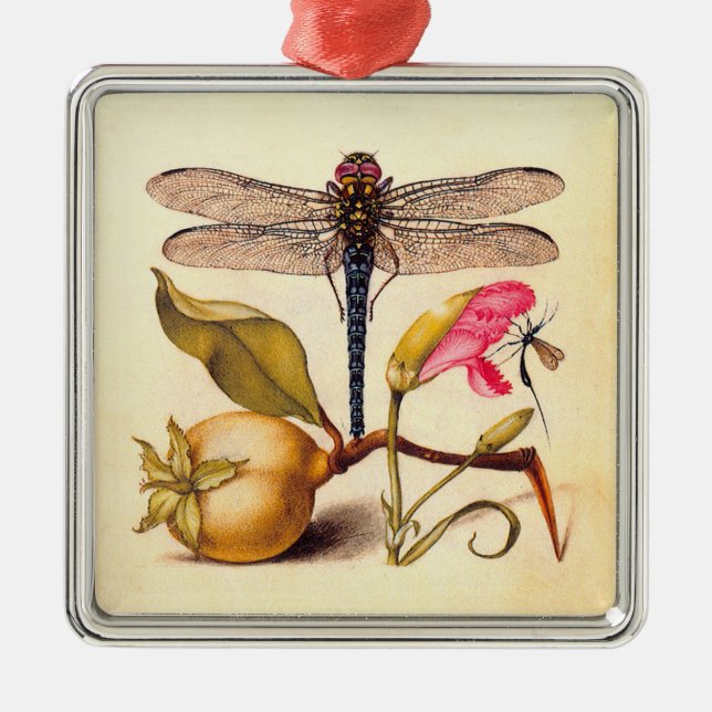 Dragonfly Botanical Nature Wildlife Metal Tree Decoration (Front)