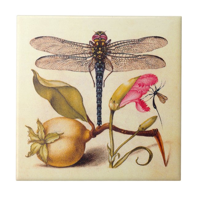 Dragonfly Botanical Nature Wildlife Tile (Front)