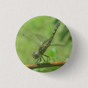 Dragonfly Button