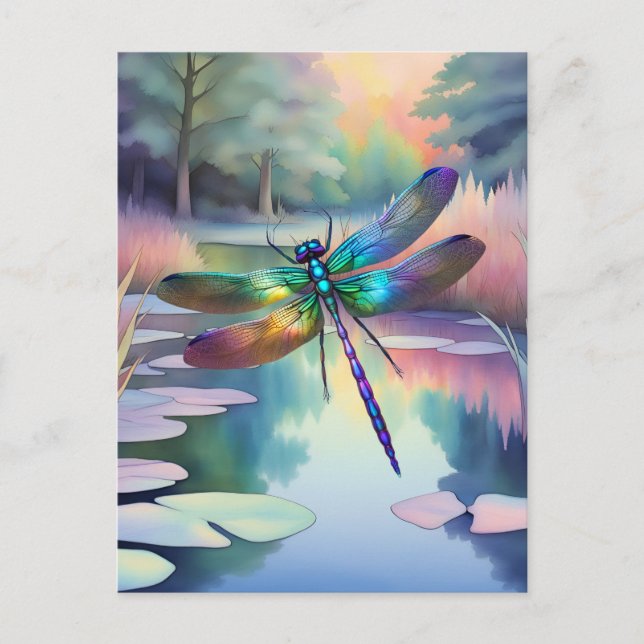 Dragonfly By The Pond  Postcard (Front)