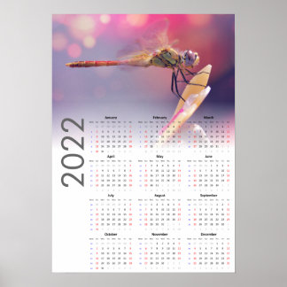 Dragonfly Calendar 2022 Poster - Sunday start