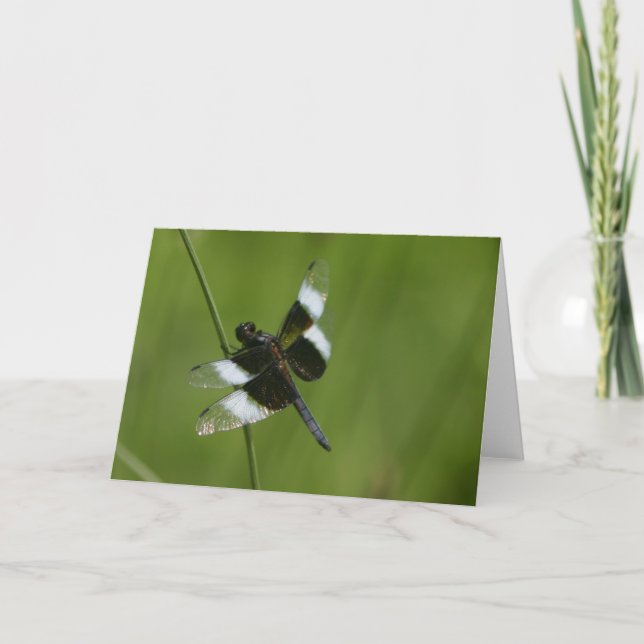 Dragonfly Card (Front)