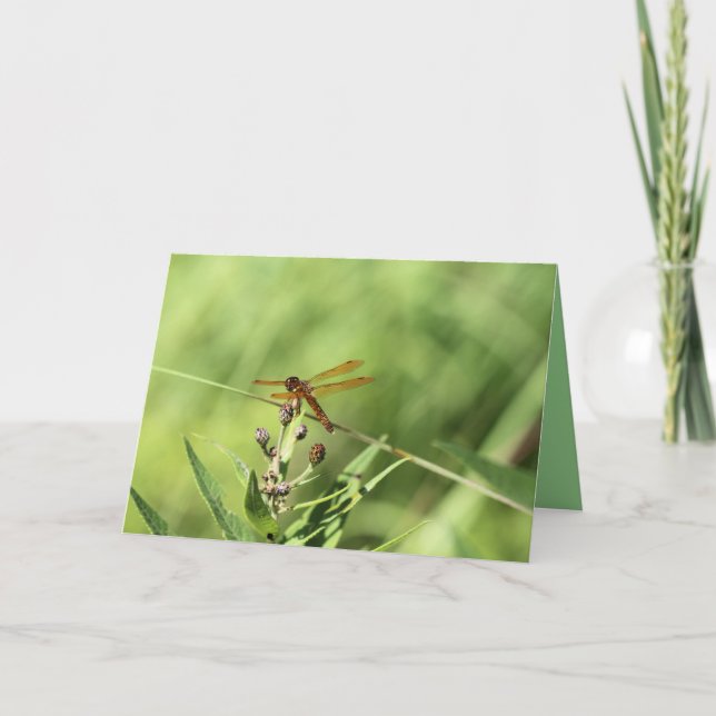 Dragonfly Card (Front)