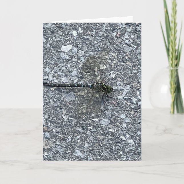 Dragonfly Card (Front)