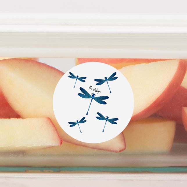 Dragonfly cartoon illustration (Affixed)