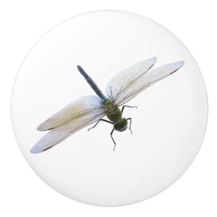 Dragonfly Ceramic Knob