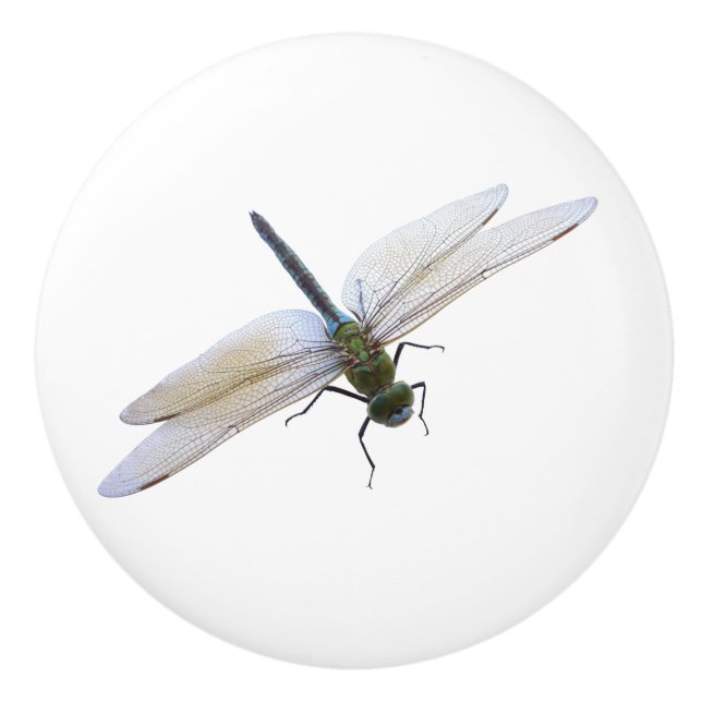 Dragonfly Ceramic Knob (Front)