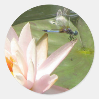 Dragonfly Classic Round Sticker