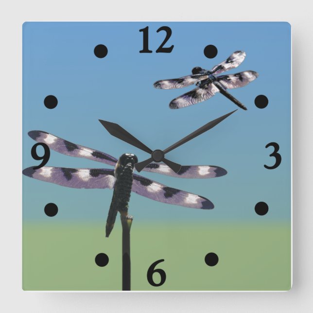 Dragonfly Clock (Front)