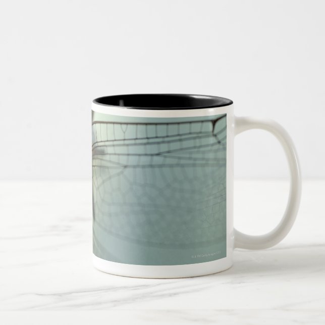 Dragonfly close-up Two-Tone coffee mug (Right)