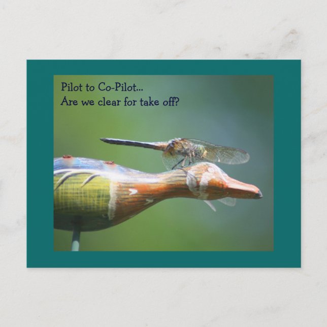 Dragonfly Co Pilot Humourous Nature Postcard (Front)