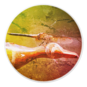 Dragonfly Co Pilot Insect Abstract Grunge  Ceramic Knob