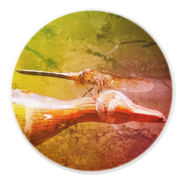 Dragonfly Co Pilot Insect Abstract Grunge  Ceramic Knob (Front)
