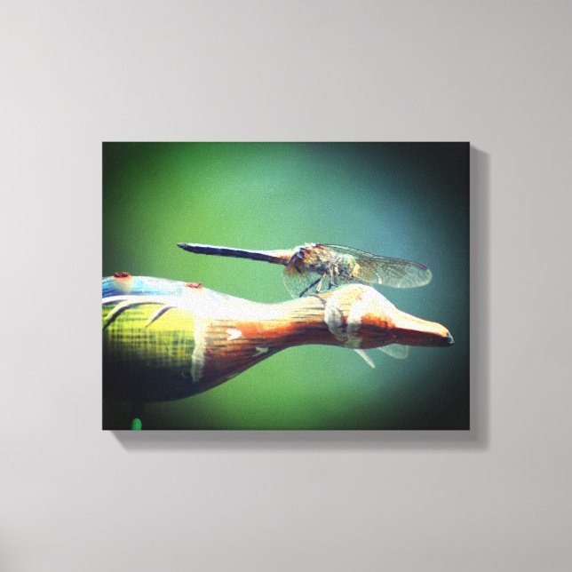 Dragonfly Co Pilot Insect  Canvas Print (Front)