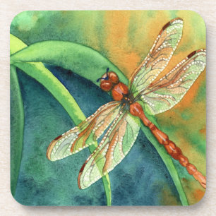 dragonfly coaster