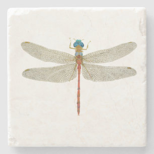 Dragonfly Coaster