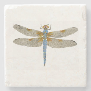 Dragonfly Coaster