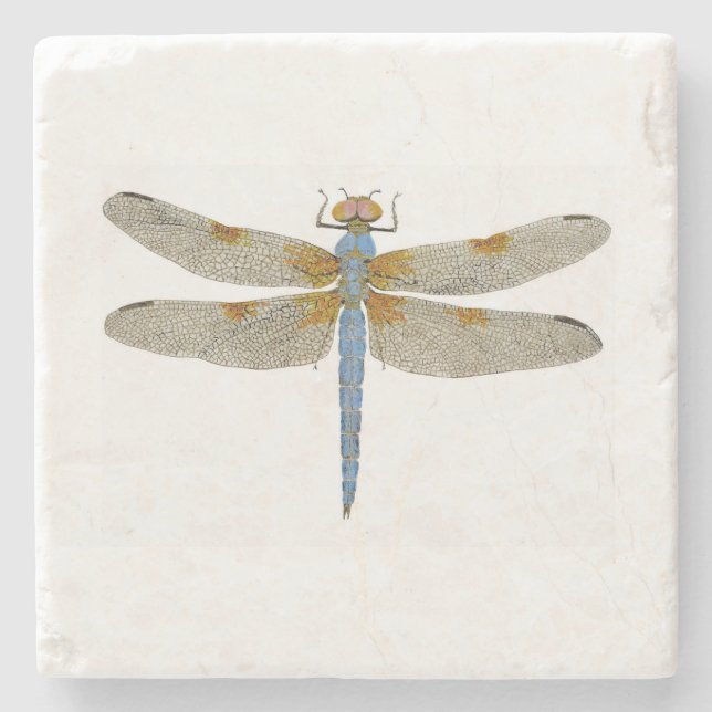 Dragonfly Coaster (Front)
