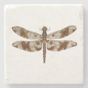 Dragonfly Coaster