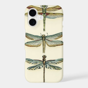 Dragonfly Collection by Chariklia Zarris