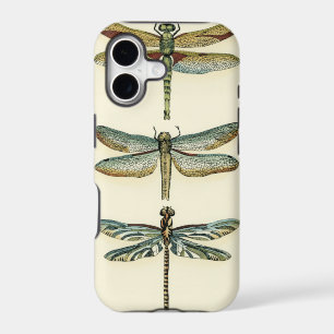 Dragonfly Collection by Chariklia Zarris