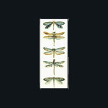 Dragonfly Collection by Chariklia Zarris Canvas Print<br><div class="desc">A dragonfly collection worthy of any curious nature buff,  this is a stunning piece by Chariklia Zarris. Put it on your wall or give it as a gift!</div>