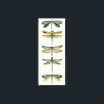 Dragonfly Collection by Chariklia Zarris Canvas Print<br><div class="desc">A dragonfly collection worthy of any curious nature buff,  this is a stunning piece by Chariklia Zarris. Put it on your wall or give it as a gift!</div>
