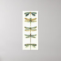 Dragonfly Collection by Chariklia Zarris